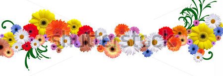 stock-photo-flower-line-for-border-and-frame-different-version-in-my-portfolio-11545657